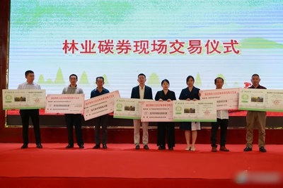通道林農(nóng)再獲一項(xiàng)權(quán)利！懷化市林地生態(tài)系統(tǒng)碳匯權(quán)證暨林業(yè)碳券在通道首發(fā)