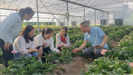 泉州洛江區(qū)科特派行動周報 林業(yè)產(chǎn)品銷售專題