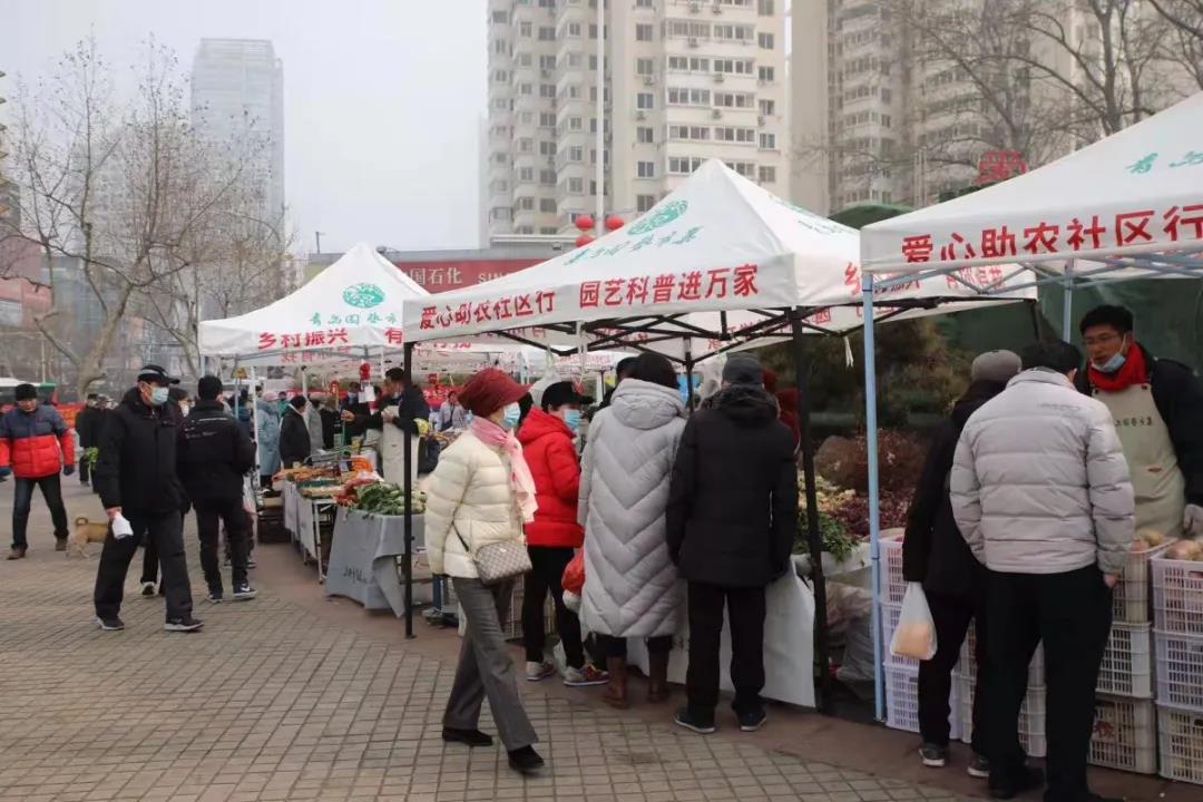 青島園藝市集盛大開集，60余種物美價廉林業(yè)產(chǎn)品任您選購