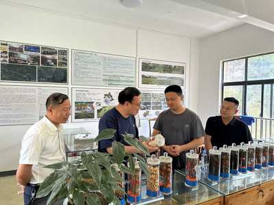 臺江縣林業(yè)產(chǎn)業(yè)與國有林場改革調(diào)研 宗煒副局長強調(diào)優(yōu)化林業(yè)產(chǎn)品銷售渠道
